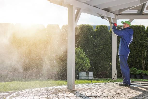 Animal Enclosure Cleaning in Fern Acres, HI